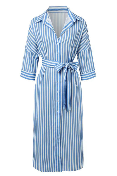 Classic Chic Shirt Dress